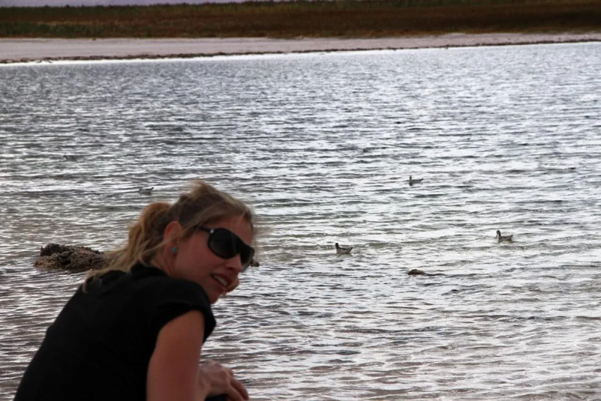 Frau Schlaumeier entdeckt Vögel auf einem Salzsee in der Atacama-Wüste.
