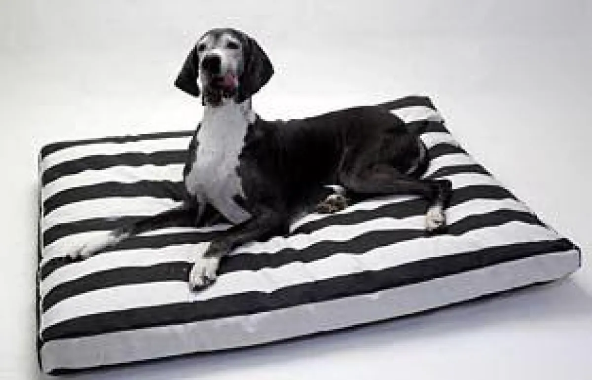 Orthopädische Hundebetten XXL