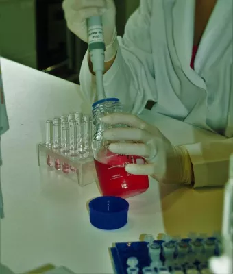 Bild: 20 Jahre Radioimmunoassays für die Diabetesdiagnostik