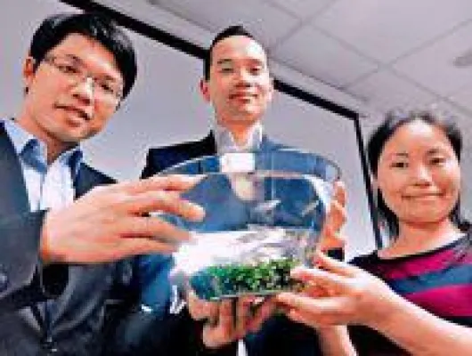 Bild: Mehr Schutz für Verbraucher - innovative Toxizitäts-Tests eines Hongkonger Start-up-Unternehmens