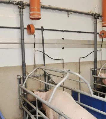 Bild: Die Ablaufrohrreinigung für Flüssigfütterungen