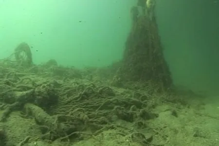 Bild: Türkei - Streit um hochproblematische Fischzuchten an der türkischen Westküste eskaliert