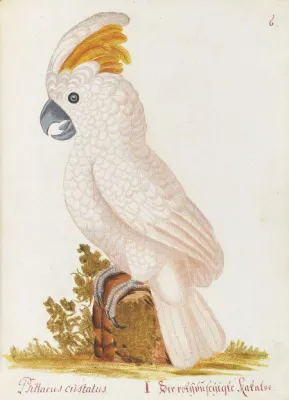 Bild: Auktion Wertvolle Bücher bei Ketterer Kunst in Hamburg - Spalowsky schießt den Vogel ab