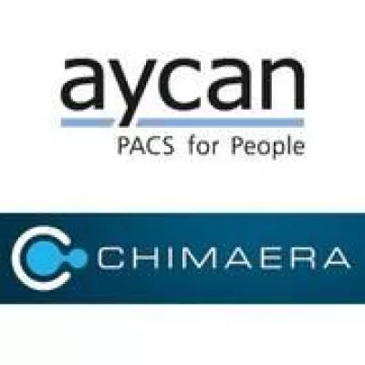 Bild: RSNA 2011: aycan und Chimaera zeigen neues Software-Werkzeug für die Bildfusion