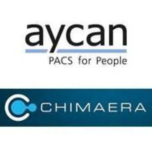 Bild: RSNA 2011: aycan und Chimaera zeigen neues Software-Werkzeug für die Bildfusion