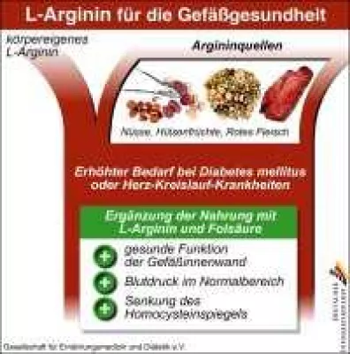 Bild: L-Arginin und Folsäure beugen Arteriosklerose vor