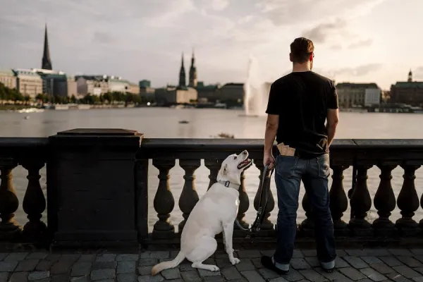 Problem der Hundekotentsorgung: es geht auch ohne Plastik Bild: Problem der Hundekotentsorgung: es geht auch ohne Plastik