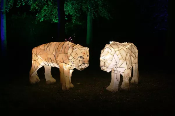 Bild: „Zoo-Lights“: Tierische Lichtinstallationen und abwechslungsreiche Wochenendveranstaltungen
