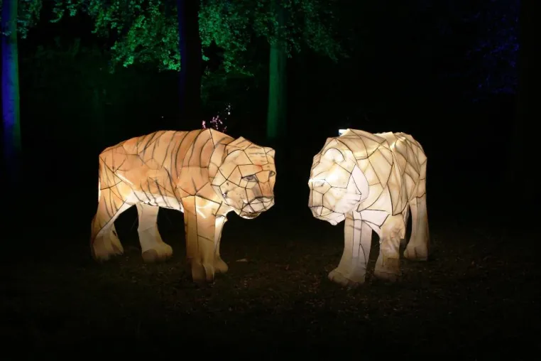 Bild: „Zoo-Lights“: Tierische Lichtinstallationen und abwechslungsreiche Wochenendveranstaltungen