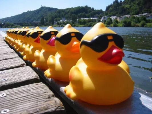 Bild: Auf die Mosel, fertig, los