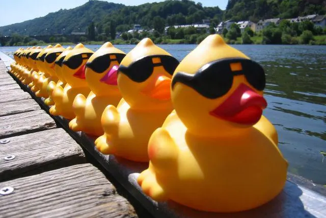 Bild: Auf die Mosel, fertig, los