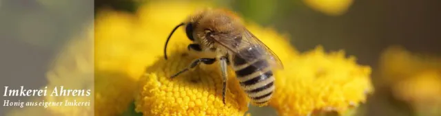 Bar und Kleinkunst im Feuerwehrdepot Bild: Bar und Kleinkunst im Feuerwehrdepot