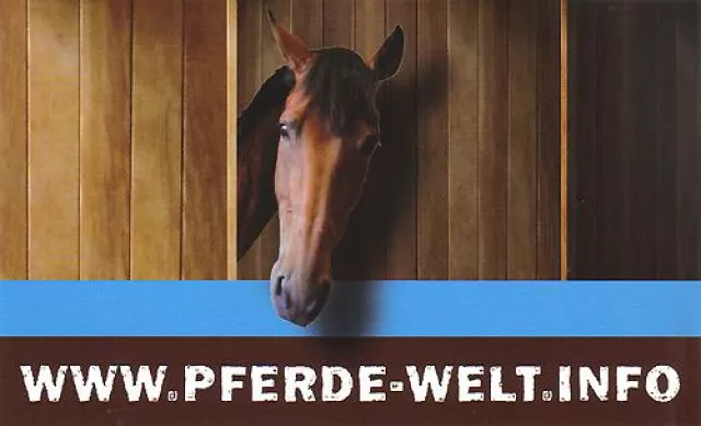 Bild: Jetzt online - Pferde-Welt.info, die Webseite für alle Pferdefreunde