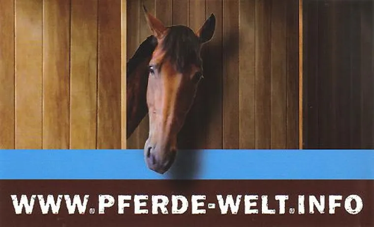 Jetzt online - Pferde-Welt.info, die Webseite für alle Pferdefreunde Bild: Jetzt online - Pferde-Welt.info, die Webseite für alle Pferdefreunde