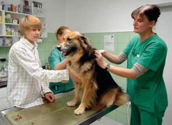 25 Jahre Krankenversicherung für Tiere - Die Uelzener feiert ein besonderes Jubiläum Bild: 25 Jahre Krankenversicherung für Tiere - Die Uelzener feiert ein besonderes Jubiläum