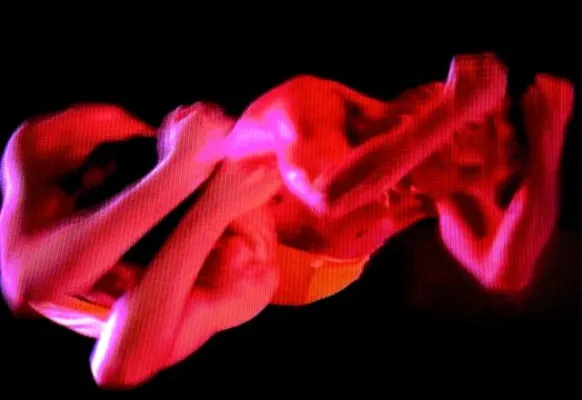 FARBEN. ÜBERTRAGUNGEN. - Farben und Formen. Magie. Tanz? Bild: FARBEN. ÜBERTRAGUNGEN. - Farben und Formen. Magie. Tanz?