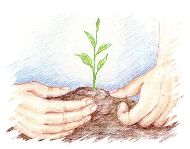 Venture Support: Start-Hilfe für Existenzgründer Bild: Venture Support: Start-Hilfe für Existenzgründer