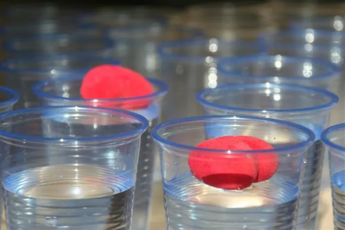 Bild: 10.10.'10: Hochzeitsstreiche im Risiko-Check