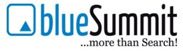 Bild: Internationale-Performance-Marketing Etatvergabe an Blue Summit Media