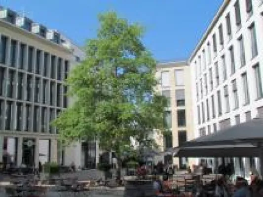 Bild: Stadtbaum mit Sonderwünschen: tegra-Sondersubstrat erfüllt individuelle Ansprüche