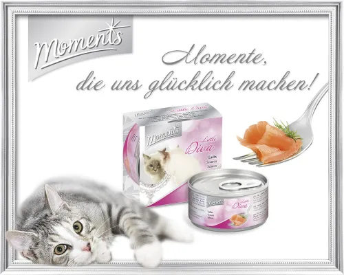 Bild: Design Ahead entwickelt emotionale Markenwelt für Highpremium Katzennahrung