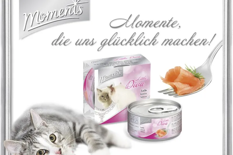 Design Ahead entwickelt emotionale Markenwelt für Highpremium Katzennahrung Bild: Design Ahead entwickelt emotionale Markenwelt für Highpremium Katzennahrung