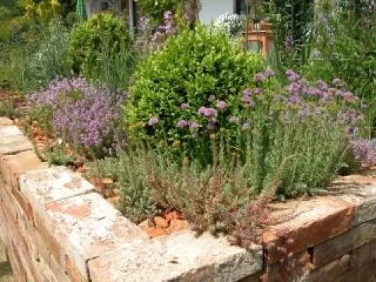 Bild: Klimawandel im Garten: Kein Problem mit Wassermangel