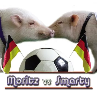 Weltneuheit: Moritz B., das singende Schwein, erobert die Fußballwelt Bild: Weltneuheit: Moritz B., das singende Schwein, erobert die Fußballwelt