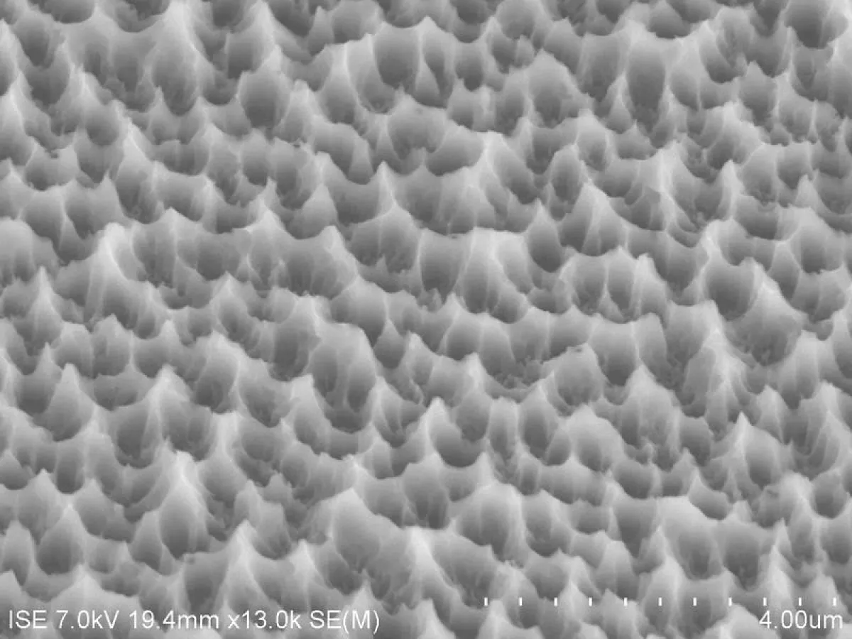 Plasma texture for multicrystalline silicon. (Fraunhofer ISE)