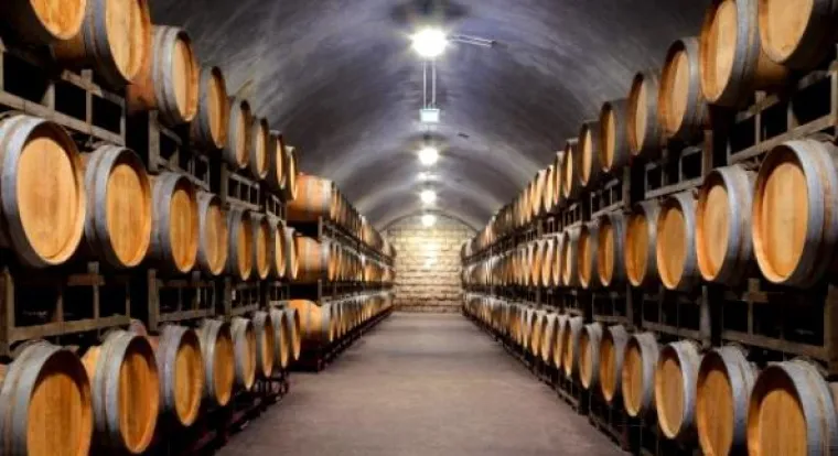 Bild: Luftbefeuchtung für Winzer und Kellereien