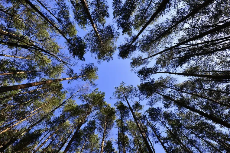 Neue Genossenschafts-Kooperation: Nachhaltige Geldanlage auch für Nichtmitglieder Bild: Neue Genossenschafts-Kooperation: Nachhaltige Geldanlage auch für Nichtmitglieder