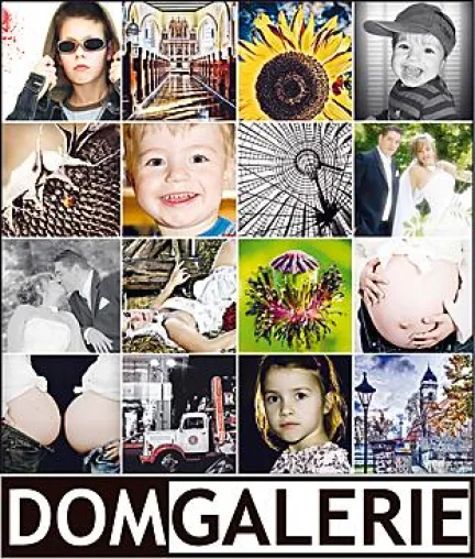 Bild: Die Flut dauert länger - Ausstellung "Bilderflut" in DomGalerie verlängert