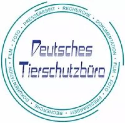 Bild: PETA prangert tierquälerischen QS- "Qualitäts-" Schweinezüchter an