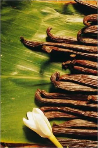 Bild: Tahiti Vanille in aller Munde – die beste Vanille der Welt jetzt auch im Emmi Caffe Latte Vanilla Tahiti