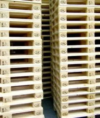 Bild: BTK bestätigt Erfolgsmodell: 100 Tage Regionalpartner im ELVIS-Palettenclearing