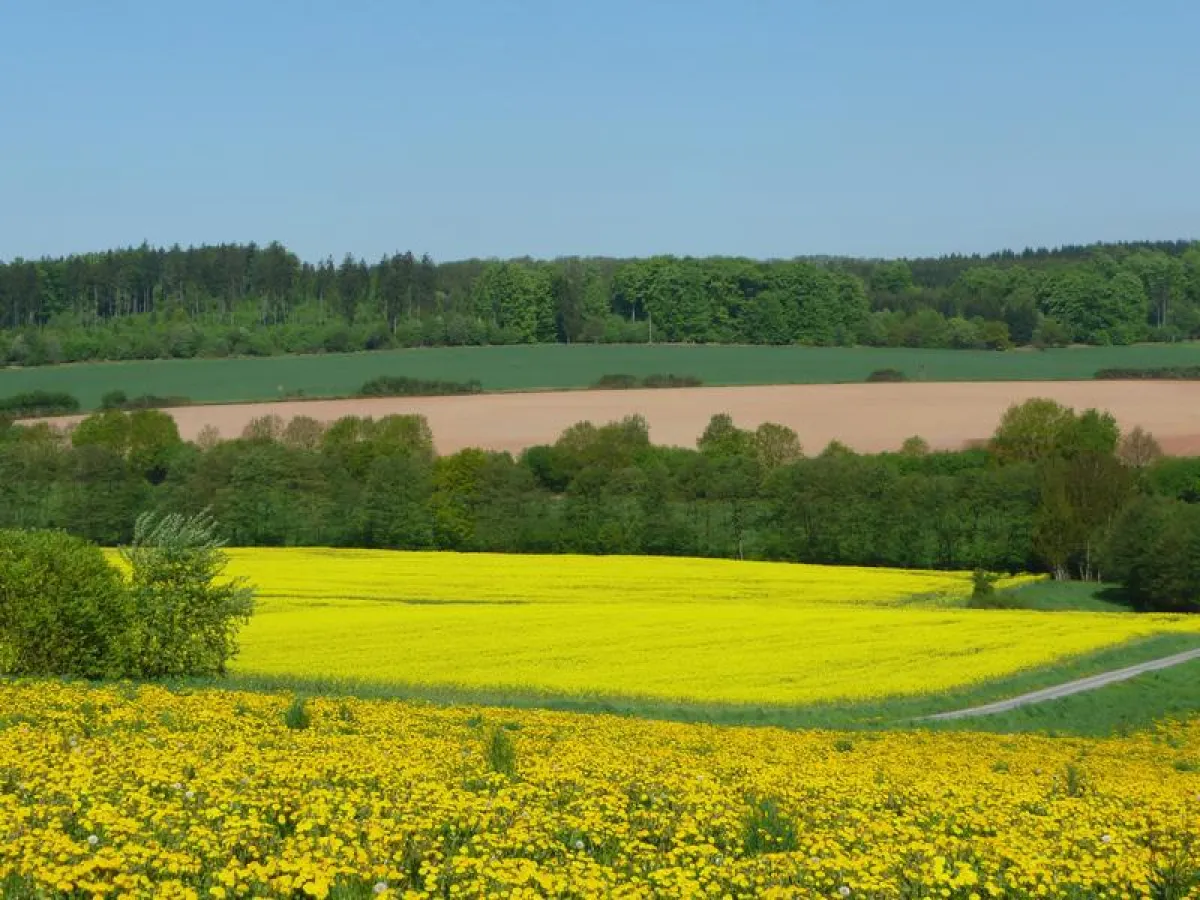 Landschaft in Südniedersachsen. Mit welchen Fruchtfolgen werden die Felder bestellt?  (Foto: Horst-Henning Steinmann)