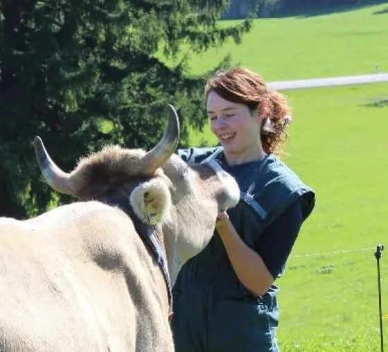 Bild: Tierarztpraxis für Rinder und Kleintiere in Nesselwang, Allgäu