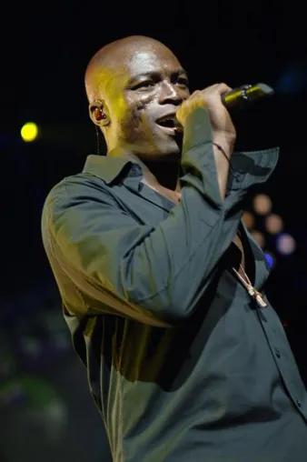 Bild: AIDA Night of the Proms mit Seal und Alison Moyet