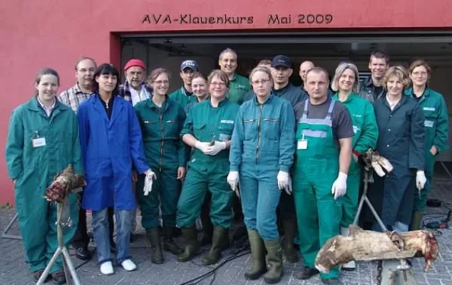 Bild: Die Klauen tragen die Milch - Funktionelle Klauenpflege -AVA Kurs für die Praxis mit besten Kritiken absolviert