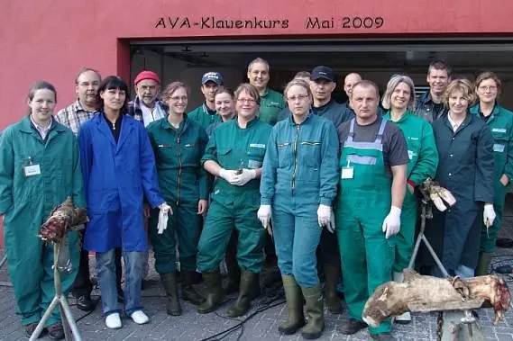 Bild: Die Klauen tragen die Milch - Funktionelle Klauenpflege -AVA Kurs für die Praxis mit besten Kritiken absolviert