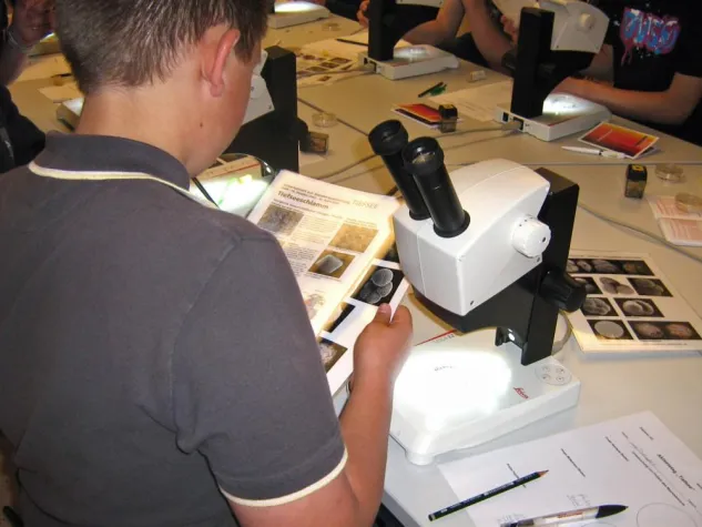 Bild: 4. Familientag im Japanischen Palais Dresden