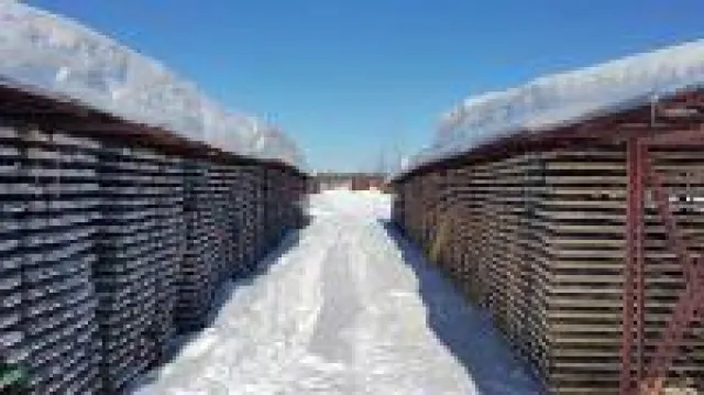 Bild: Maple Gold Mines - der neue Star im Abitibi Greenstone Belt