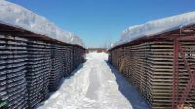 Bild: Maple Gold Mines - der neue Star im Abitibi Greenstone Belt