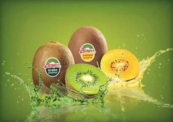Bild: Herzlichen Glückwunsch, Zespri® Kiwi: Der Weltmarktführer wird 20 Jahre jung!