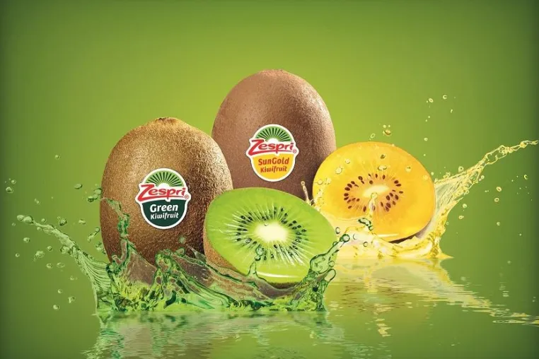 Herzlichen Glückwunsch, Zespri® Kiwi: Der Weltmarktführer wird 20 Jahre jung! Bild: Herzlichen Glückwunsch, Zespri® Kiwi: Der Weltmarktführer wird 20 Jahre jung!