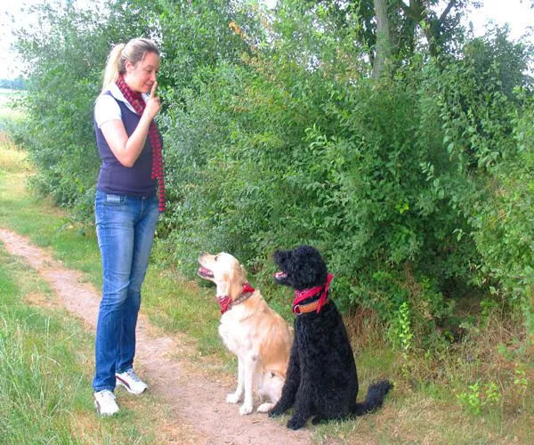 Bild: Hundetrainerin Kirstin Müller: "Im Umgang mit Hunden wird viel verkehrt gemacht!"