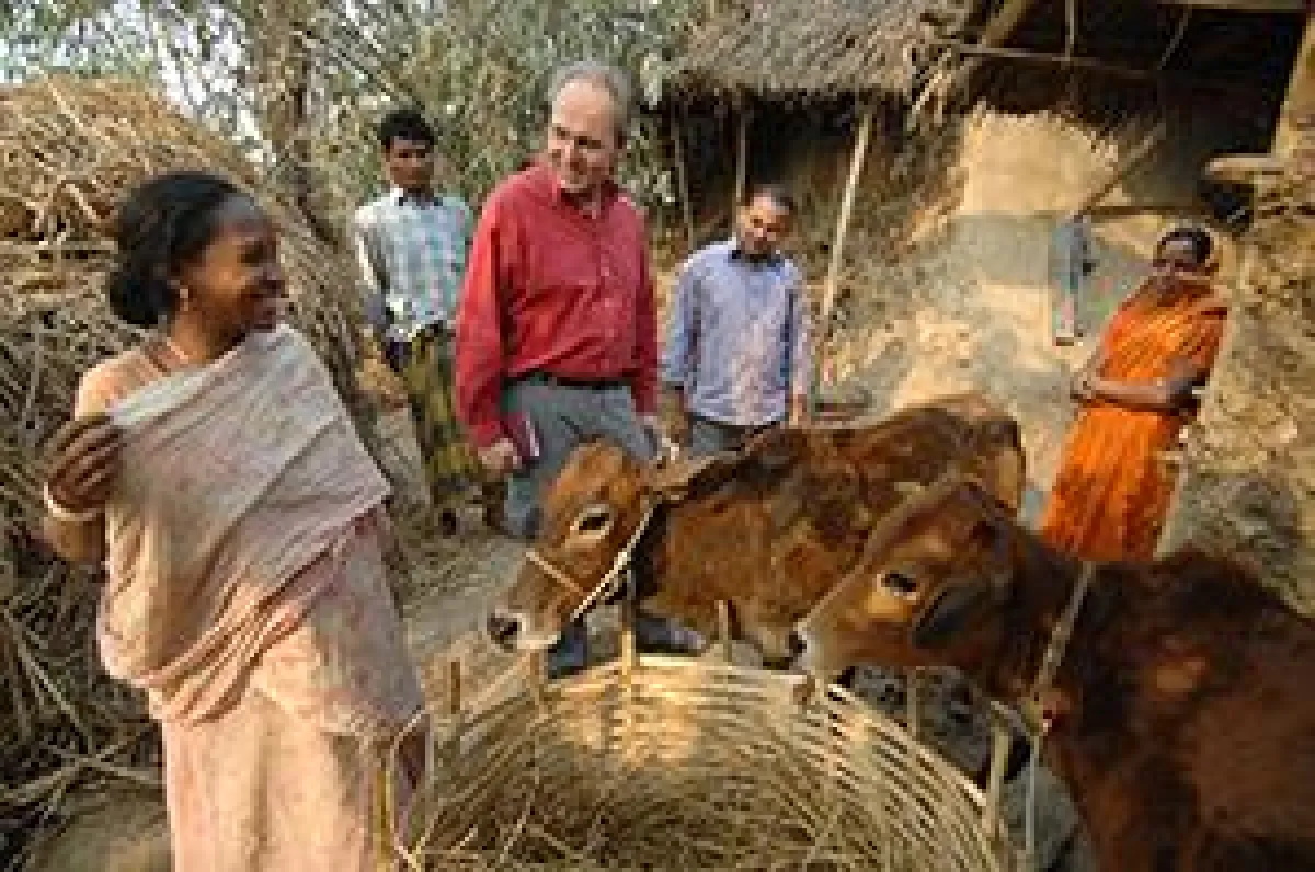 Kajoli Kormokar zeigt NETZ-Geschäftsführer Peter Dietzel ihre Kühe, die sie aus dem Projekt Ein Lebe