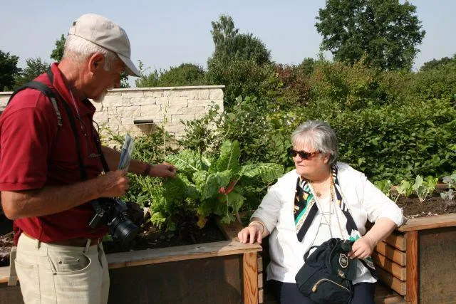 Altersgerecht gestalten - So bleibt der Garten pflegeleicht Bild: Altersgerecht gestalten - So bleibt der Garten pflegeleicht