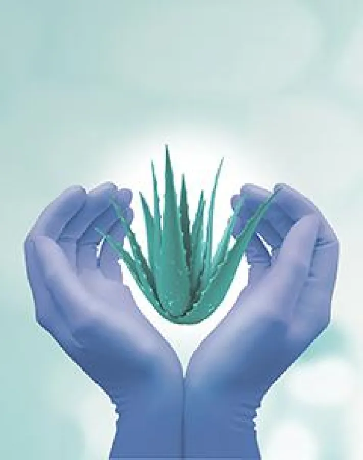 Sempercare® nitrile aloe