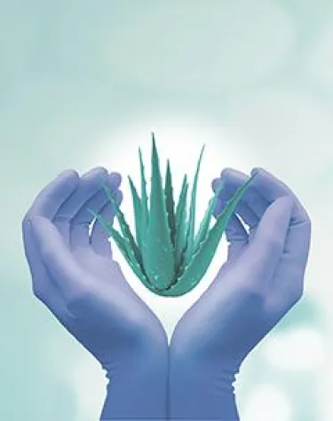Bild: Pflegen Sie Ihre Haut mit dem neuen Sempercare® nitrile aloe